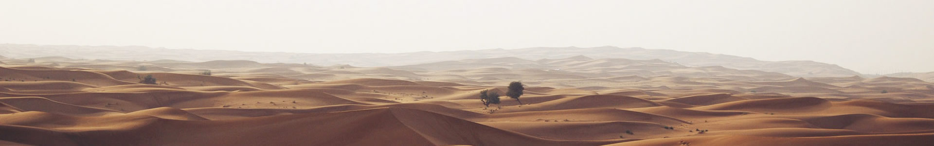 ൺƼƼ޹˾